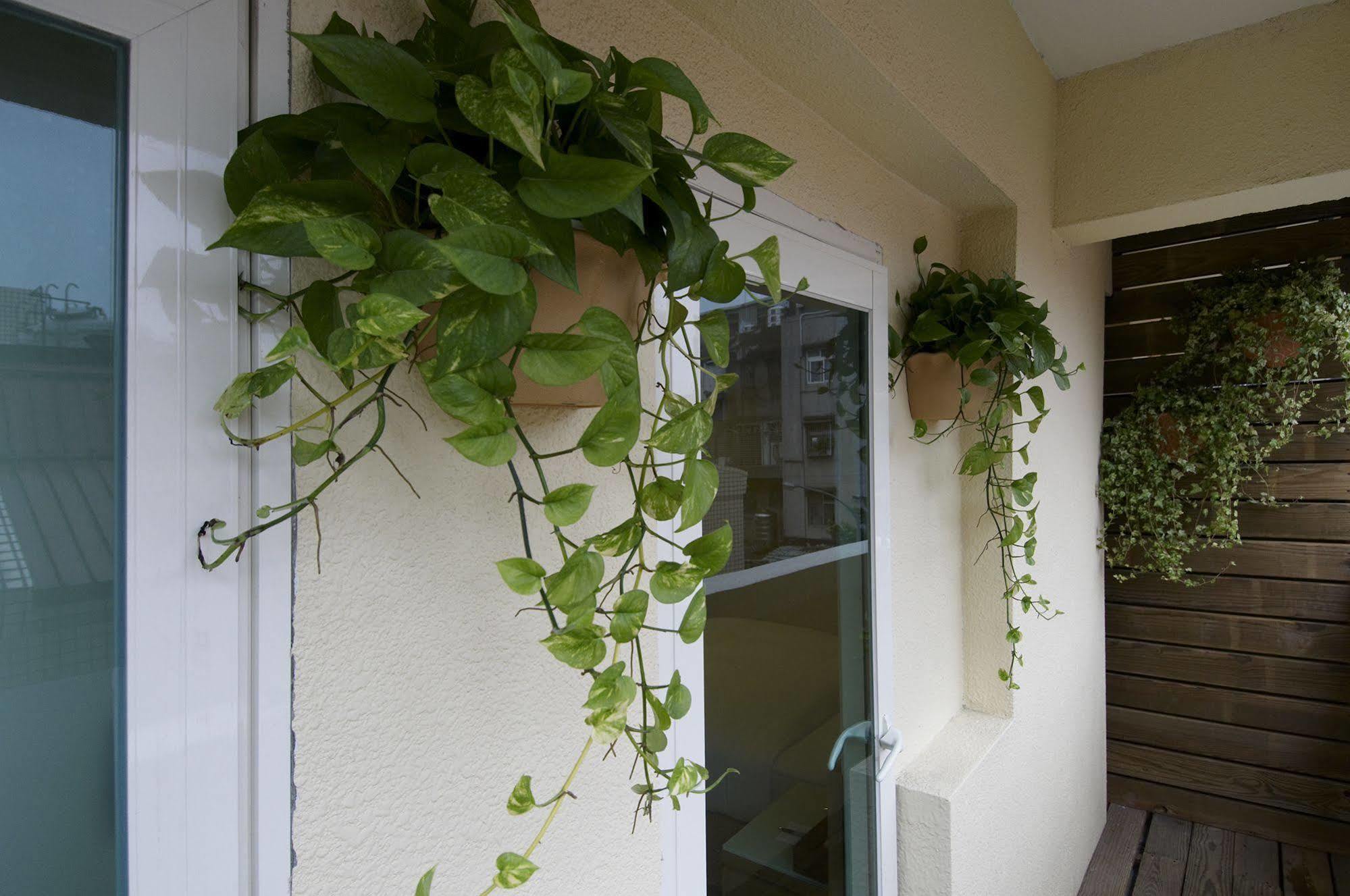 Hotel Color Banciao Exterior foto